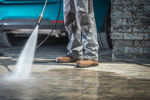 Best Paint Preparation  in Paisley, FL