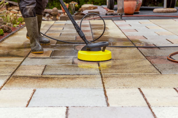 Best Fence Cleaning  in Paisley, FL