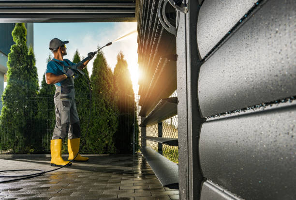 Best Graffiti Removal  in Paisley, FL