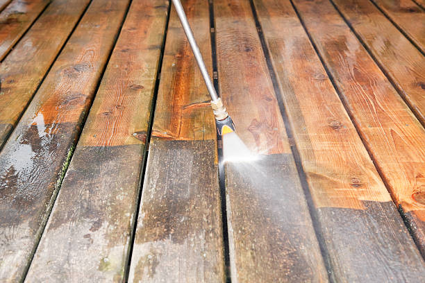 Pre-Holiday Cleaning in Paisley, FL