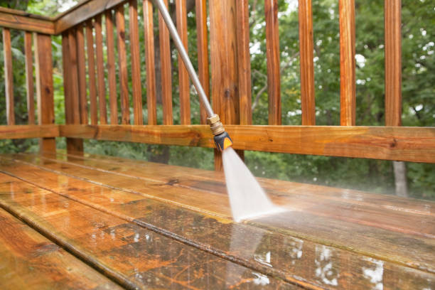 Best Gutter Cleaning  in Paisley, FL
